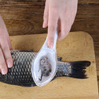Compact fish scale scraper fits easily in kitchen drawers