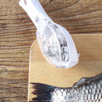 Fish scale scraper hanging from handle hole for convenient storage